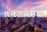 毛万春：积极助推海南 优化营商环境